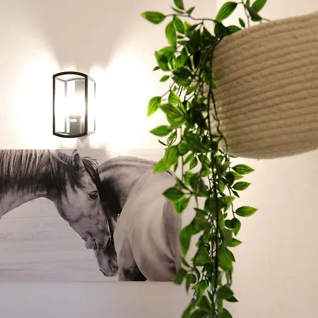 Guest house Portuguesa Alpiarca